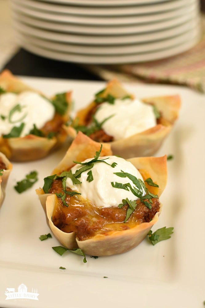 Wonton Burrito Cups