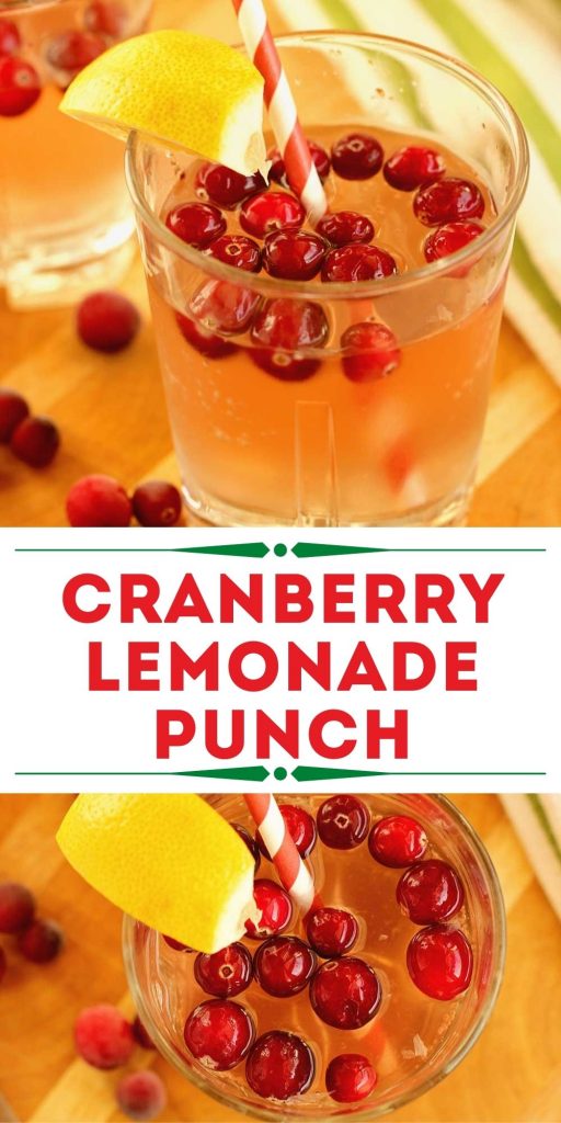 Easy Holiday Fruit Punch - With or Without Alcohol 