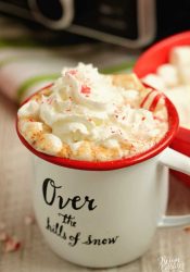 Slow Cooker Hot Chocolate