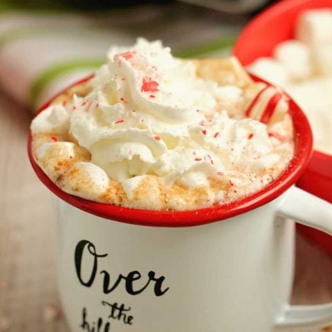 Slow Cooker Hot Chocolate - An old-fashioned hot chocolate recipe perfect for the holidays and so easy to make in the slow cooker!