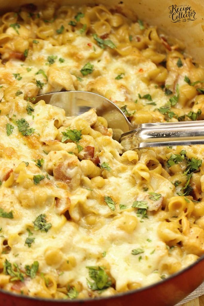 One-Pot Cheesy Chicken Popper and Bacon Pasta - An easy 30 minute dinner recipe filled with cheesy bacon goodness!