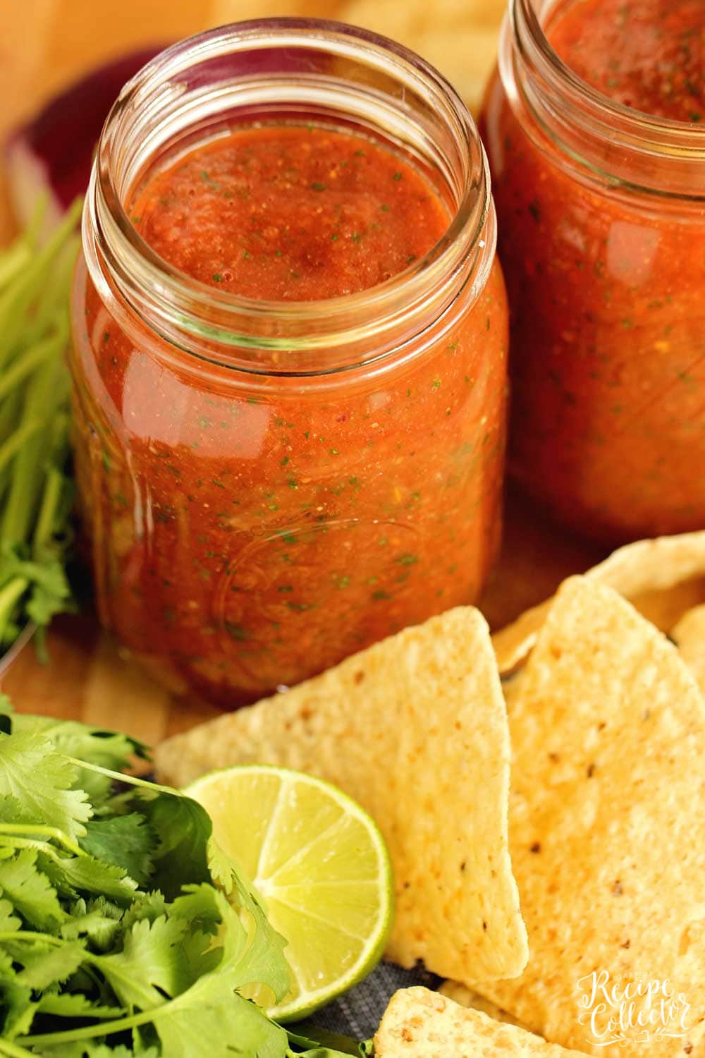 Easy Blender Salsa Recipe Diary of A Recipe Collector