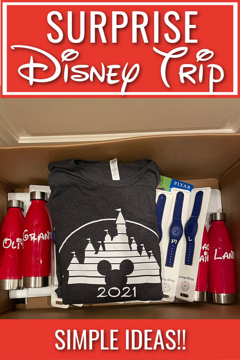 surprise disney trip basket