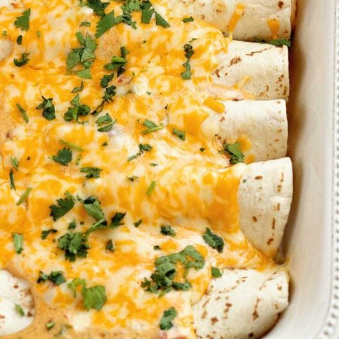 Cheesy Cajun Shrimp Enchiladas