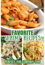 Favorite Shrimp Recipes - Here are our most popular shrimp recipes that you need to try very soon!  They are all great for company too!