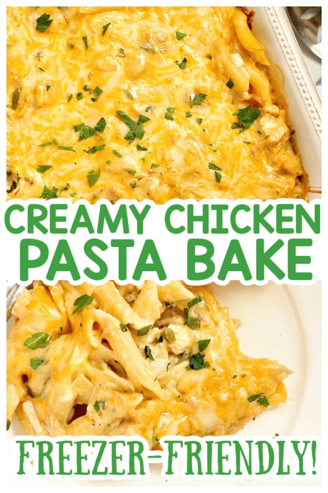 Creamy Chicken Pasta Bake - Layers of cheesy penne noodles topped with layers of a creamy flavorful sauce filled with chopped rotisserie chicken.