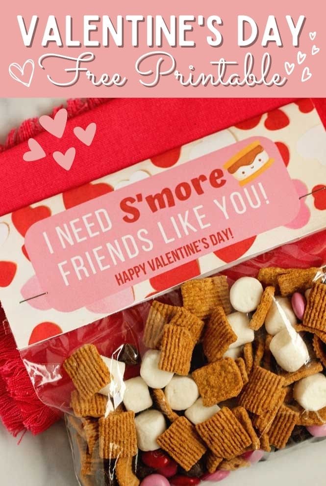 Valentine's Day S'more Printable - Here's a fun idea for Valentine's Day treats!  It's perfect for a quick s'more treat mix or an individual s'more treat! 