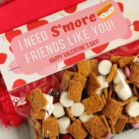 Valentine's Day S'more Printable - Here's a fun idea for Valentine's Day treats! It's perfect for a quick s'more treat mix or an individual s'more treat!