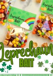 Leprechaun Bait