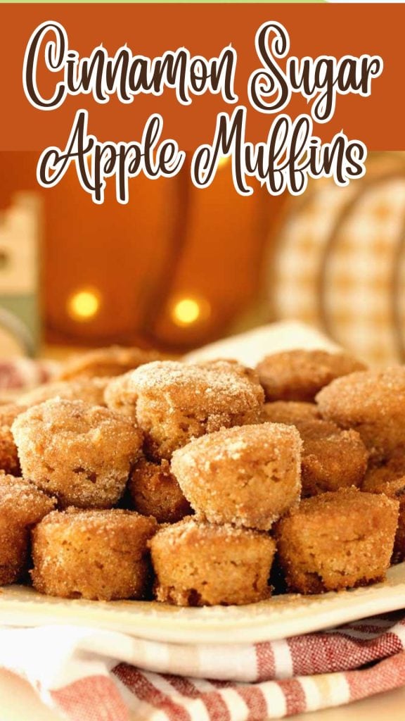 Cinnamon Sugar Apple Muffins - These mini muffins make the perfect little fall muffin and pack a great apple flavor with a cinnamon sugar punch!