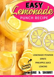 Lemonade Punch